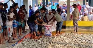 জাটকা গেলো এতিমখানায় অভিযানে জব্দ ৮ হাজার কেজি