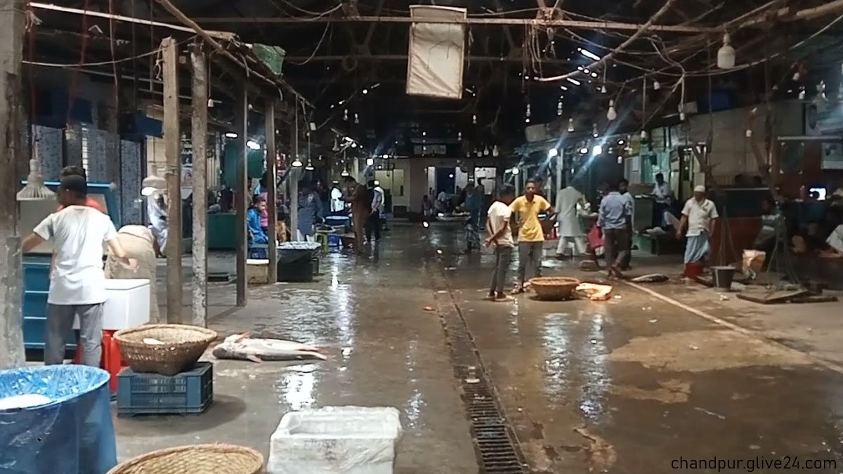ইলিশ শূন্য চাঁদপুর
