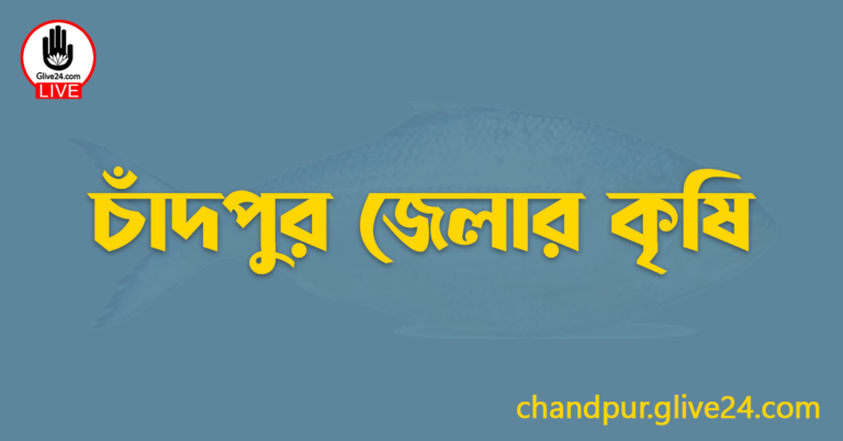 চাঁদপুর জেলার কৃষি