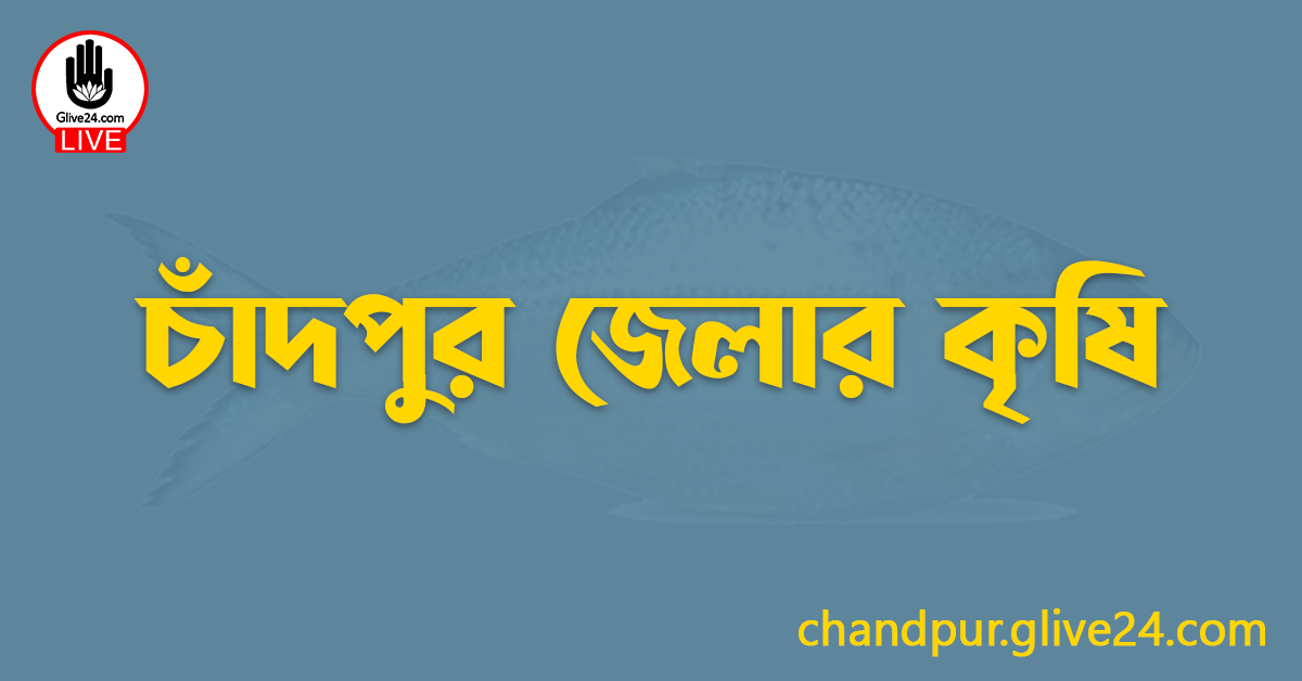 চাঁদপুর জেলার কৃষি