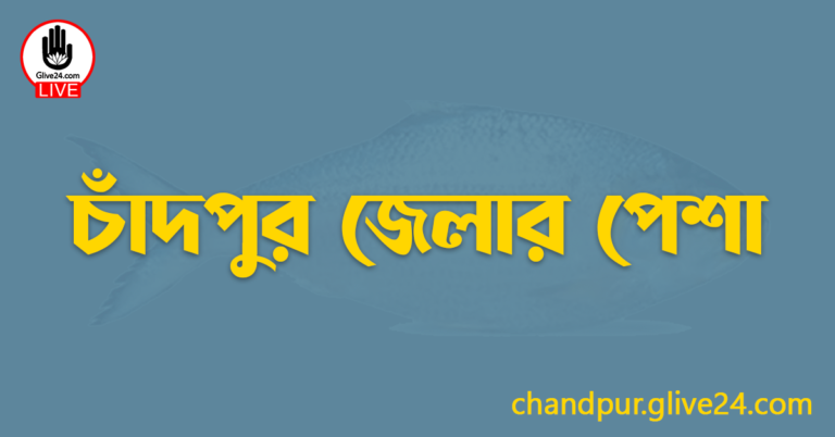চাঁদপুর জেলার পেশা