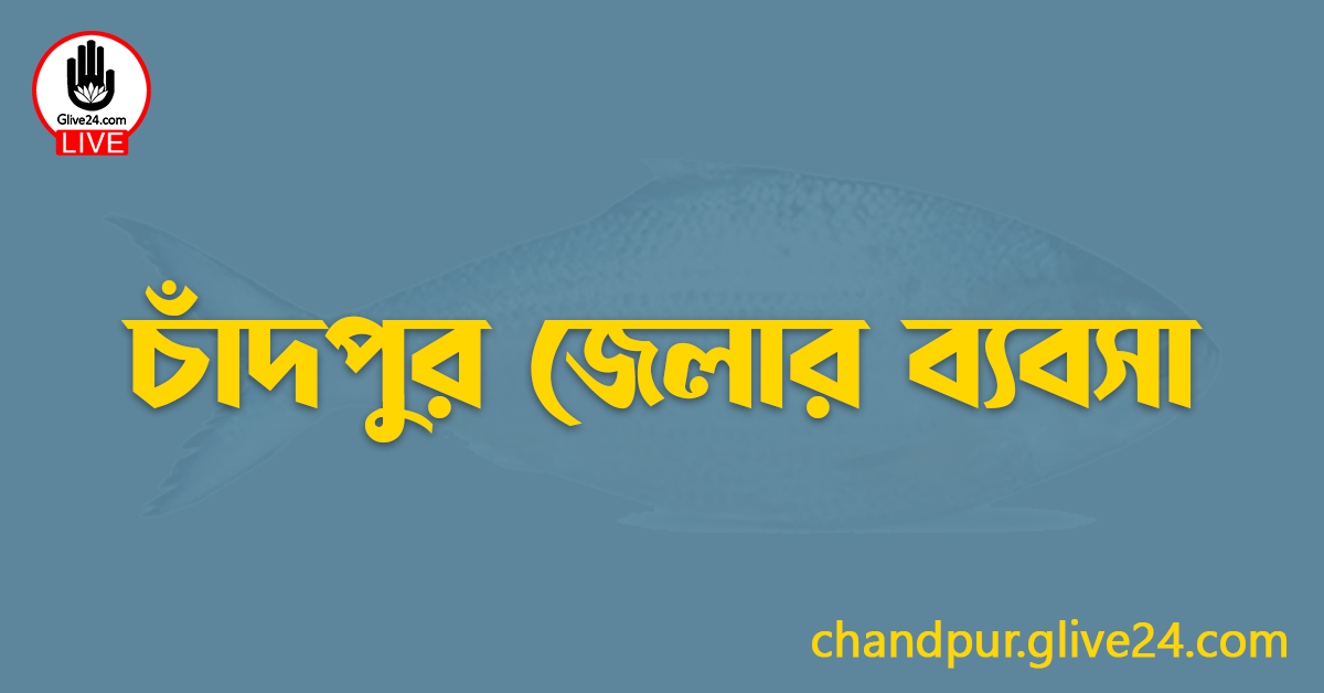 চাঁদপুর জেলার ব্যবসা